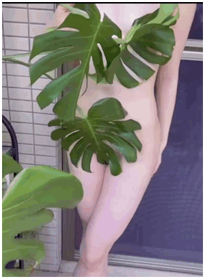 芝芝私拍福利  一丝不挂用绿植挡着扭骚死了