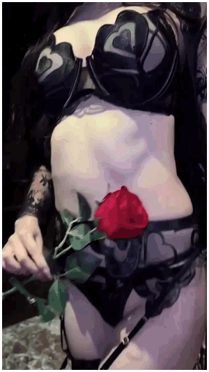 王馨瑶红色玫瑰🌹